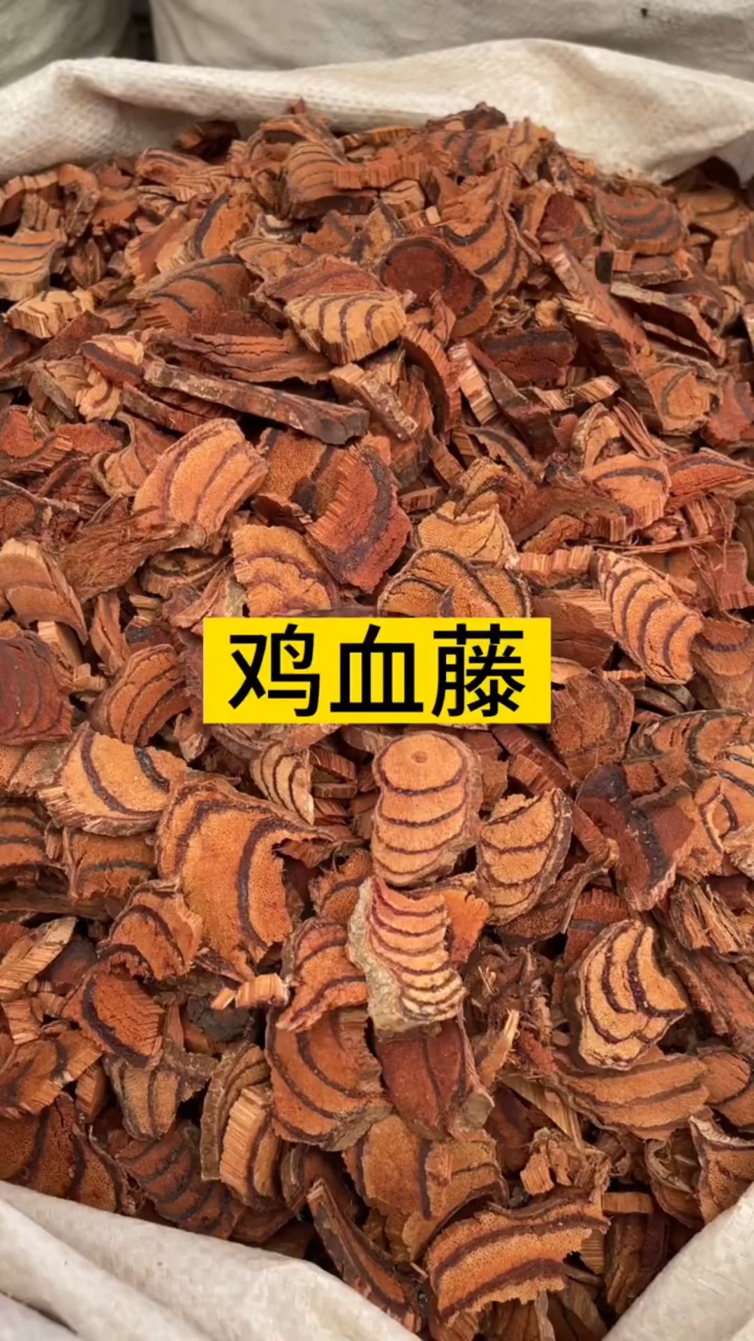 今日分享鸡血藤