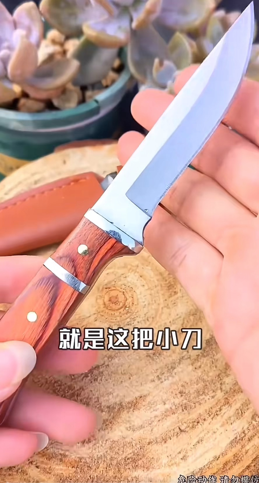 #水果刀 #吃肉刀