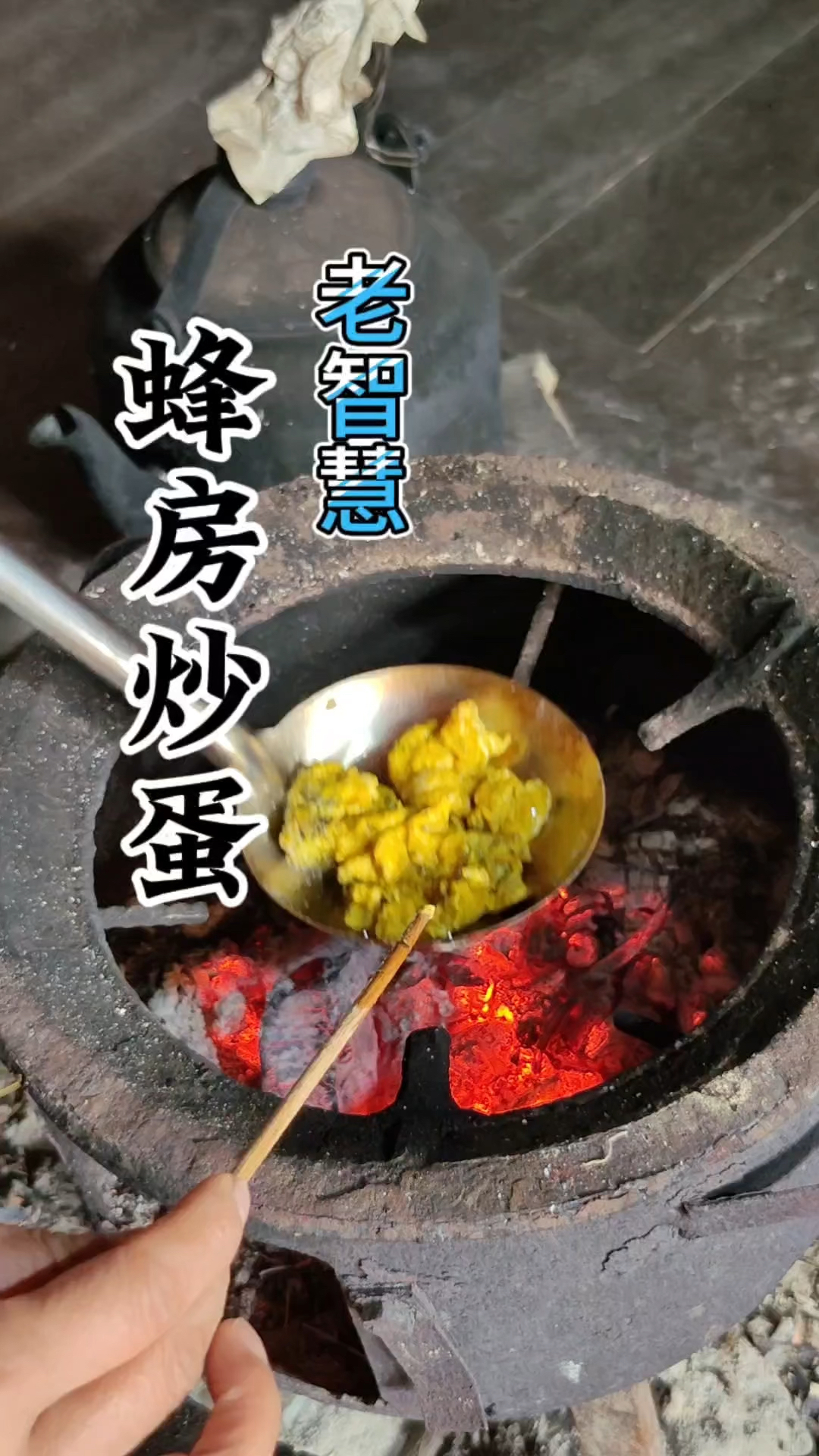 老智慧留下来的蜂房炒蛋