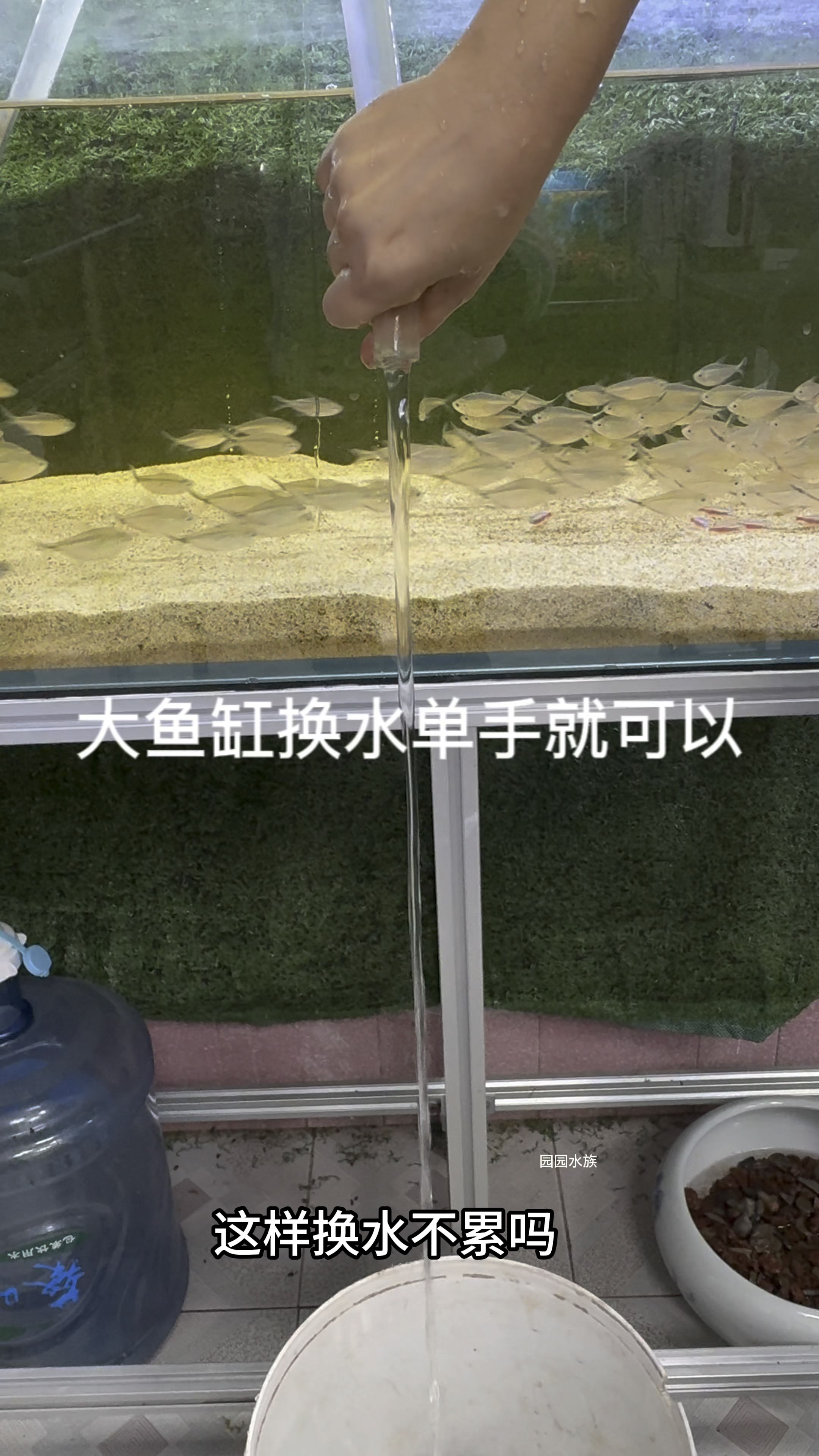 老铁们鱼缸还是这样换水的吗,学学我这个方法吧#水族 #观赏鱼 #养鱼养心