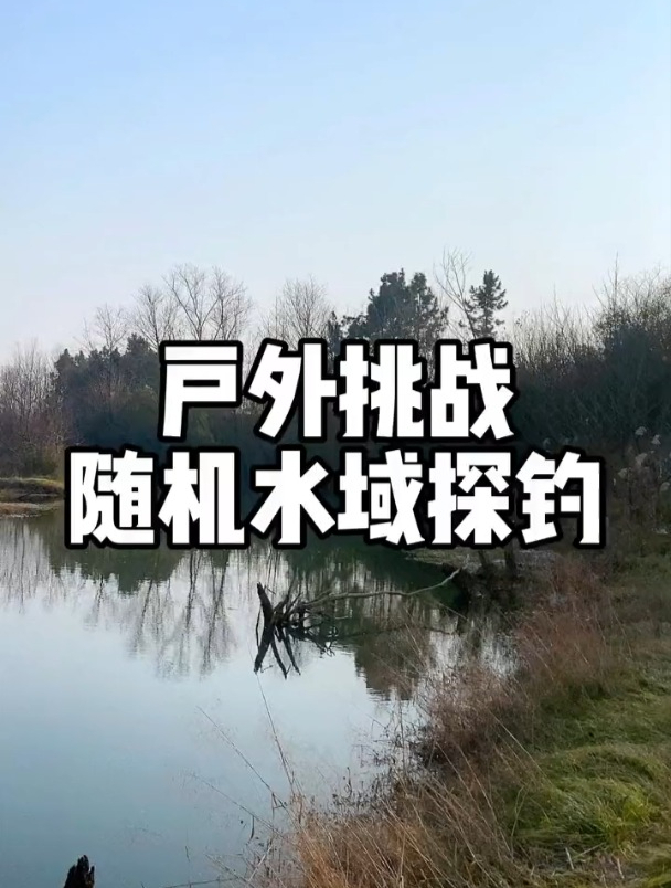 户外钓鱼挑战随机水域去钓鱼,看看鱼获如何?