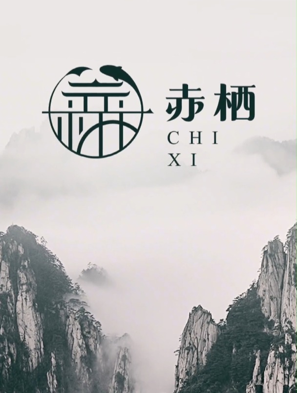 这么灵动的汉字logo有没有打动你呢?简约轻奢,美出高级感!