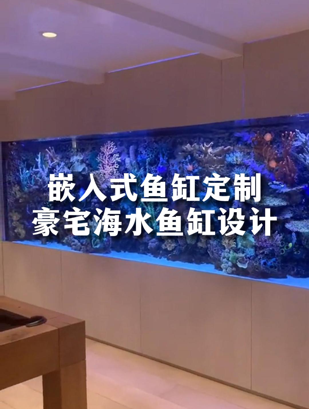 美轮美奂,嵌入式鱼缸让空间焕发独特魅力