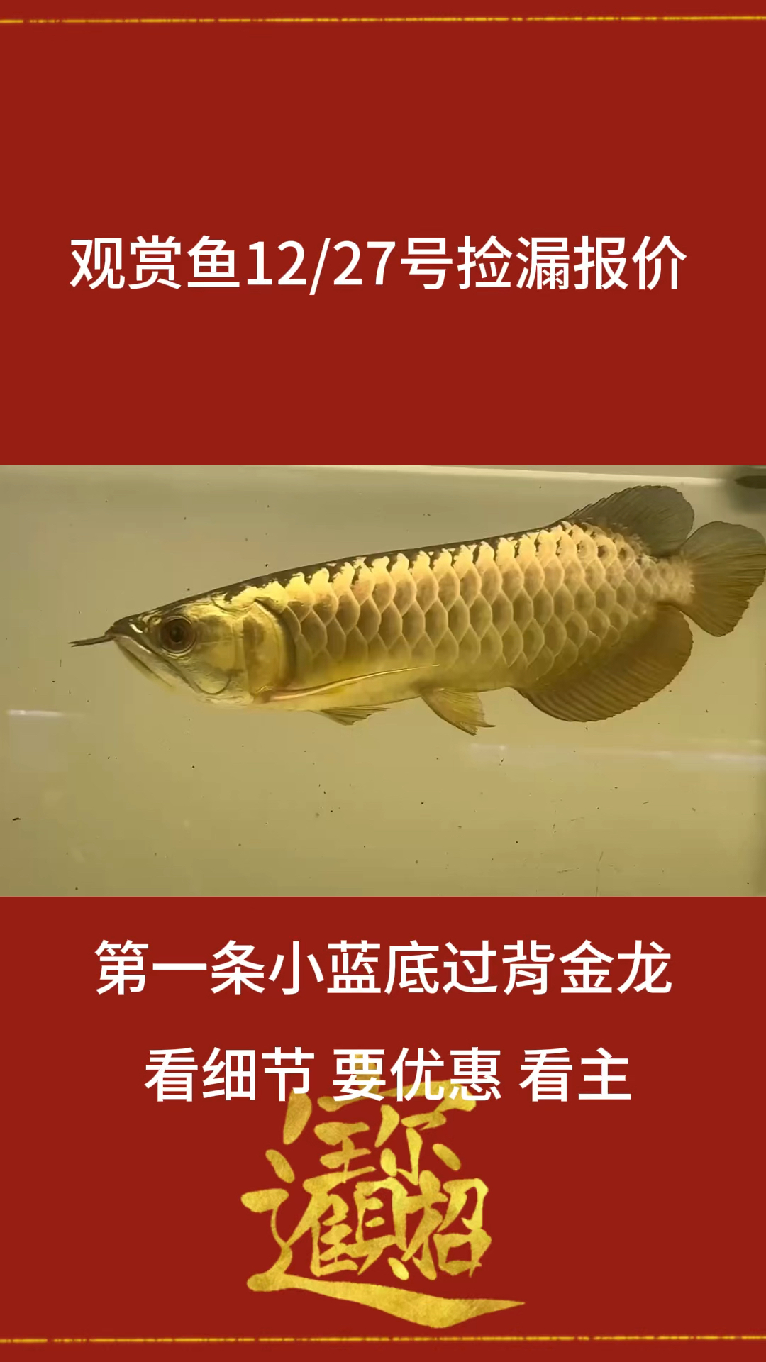 金龙鱼今日价格捡漏