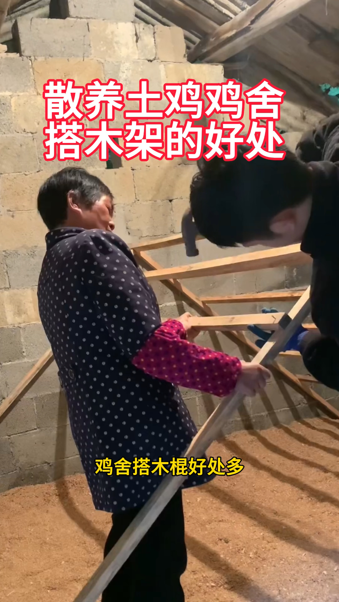 你知道散养土鸡,鸡舍搭木架的好处吗