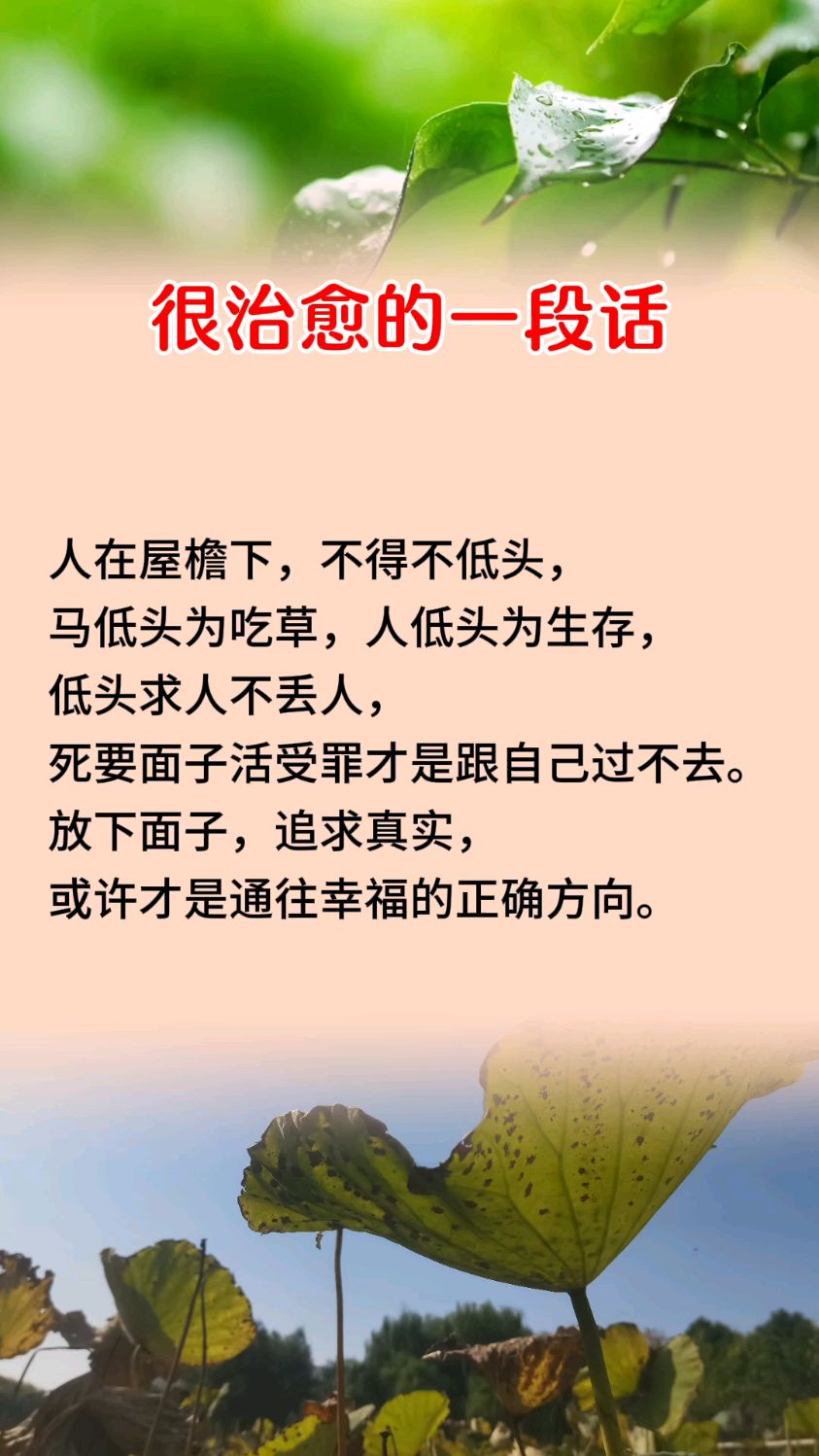心灵鸡汤,经典句