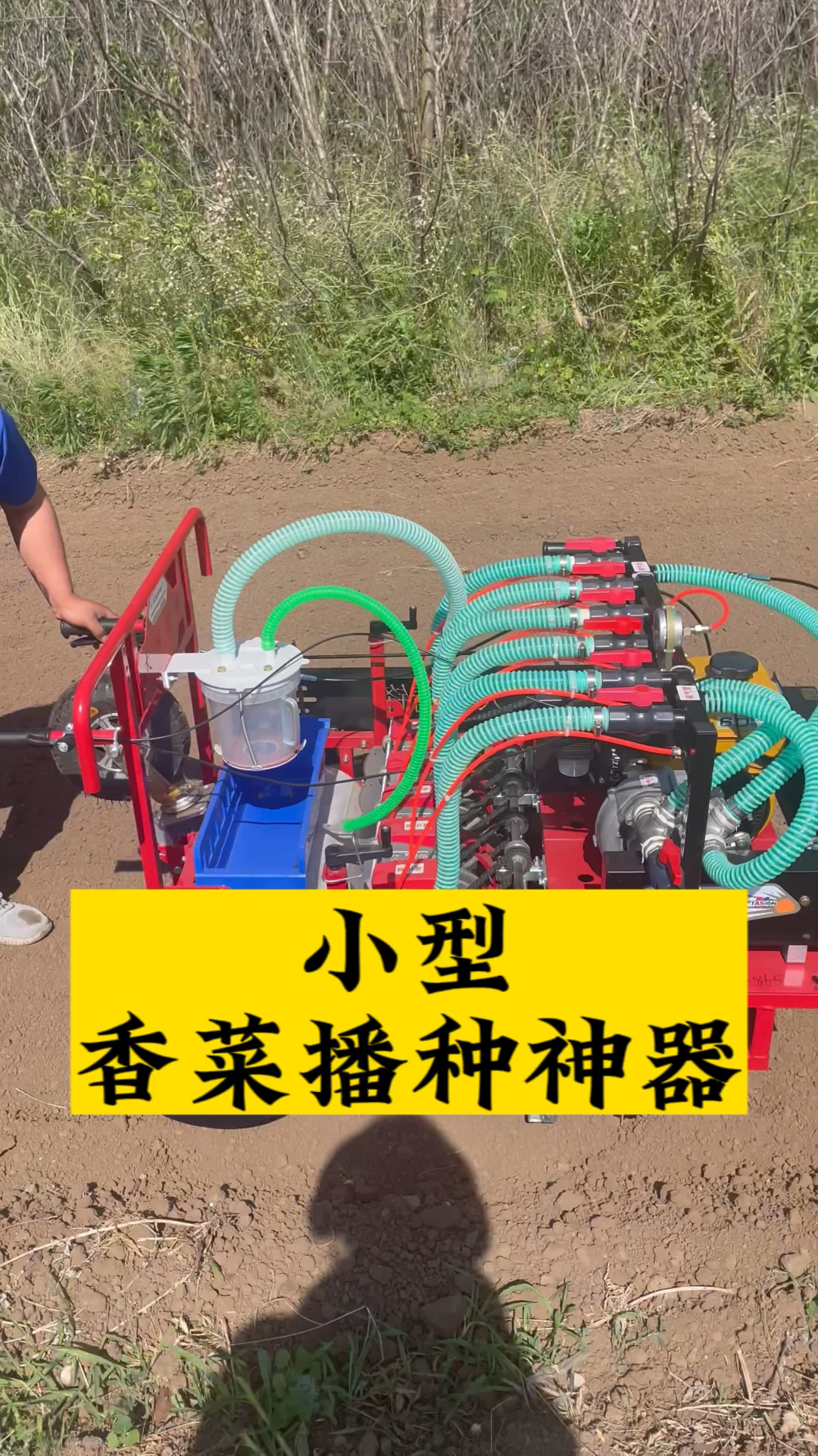 小型香菜播种神器