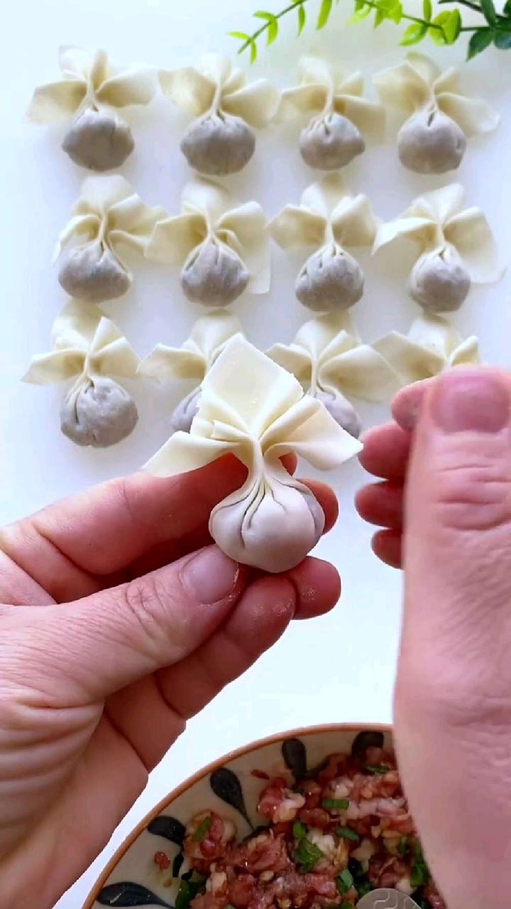 鱼尾饺子,包法你们会几种?