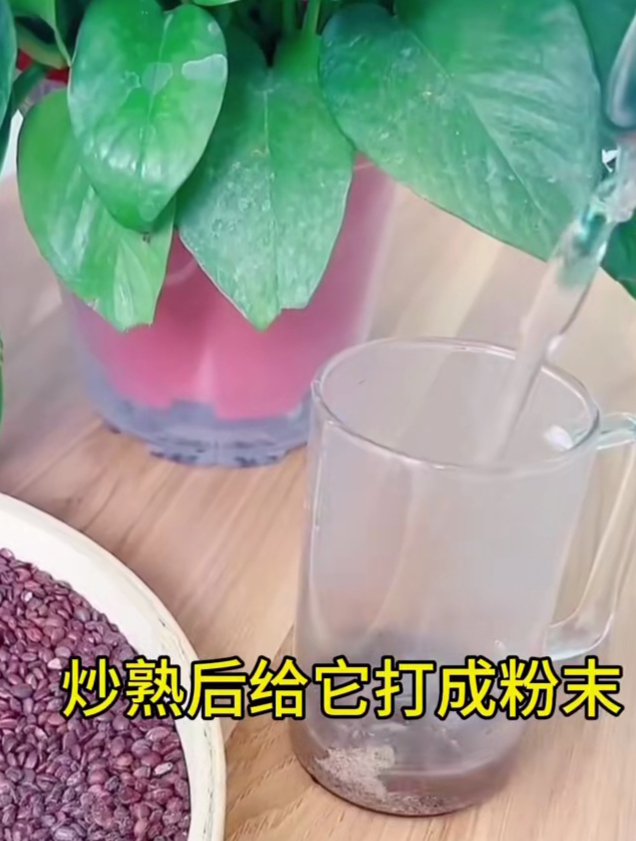 酸枣仁又叫伏枣、酸枣仁、伏枣仁、酸枣核等,打粉后泡水喝