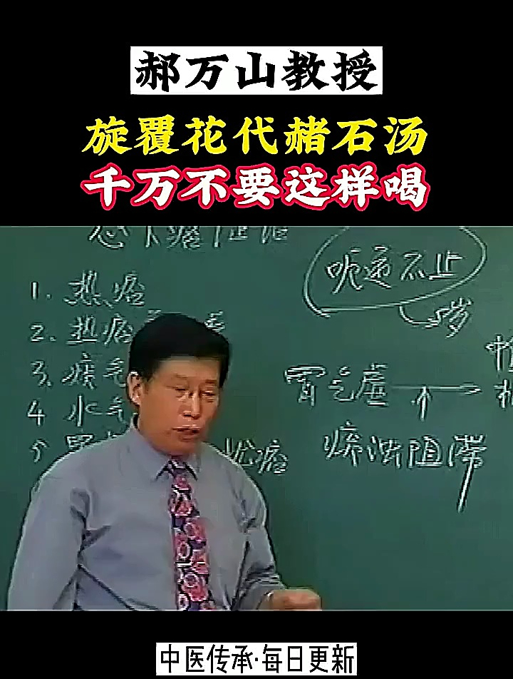 旋覆代赭汤 中医学习