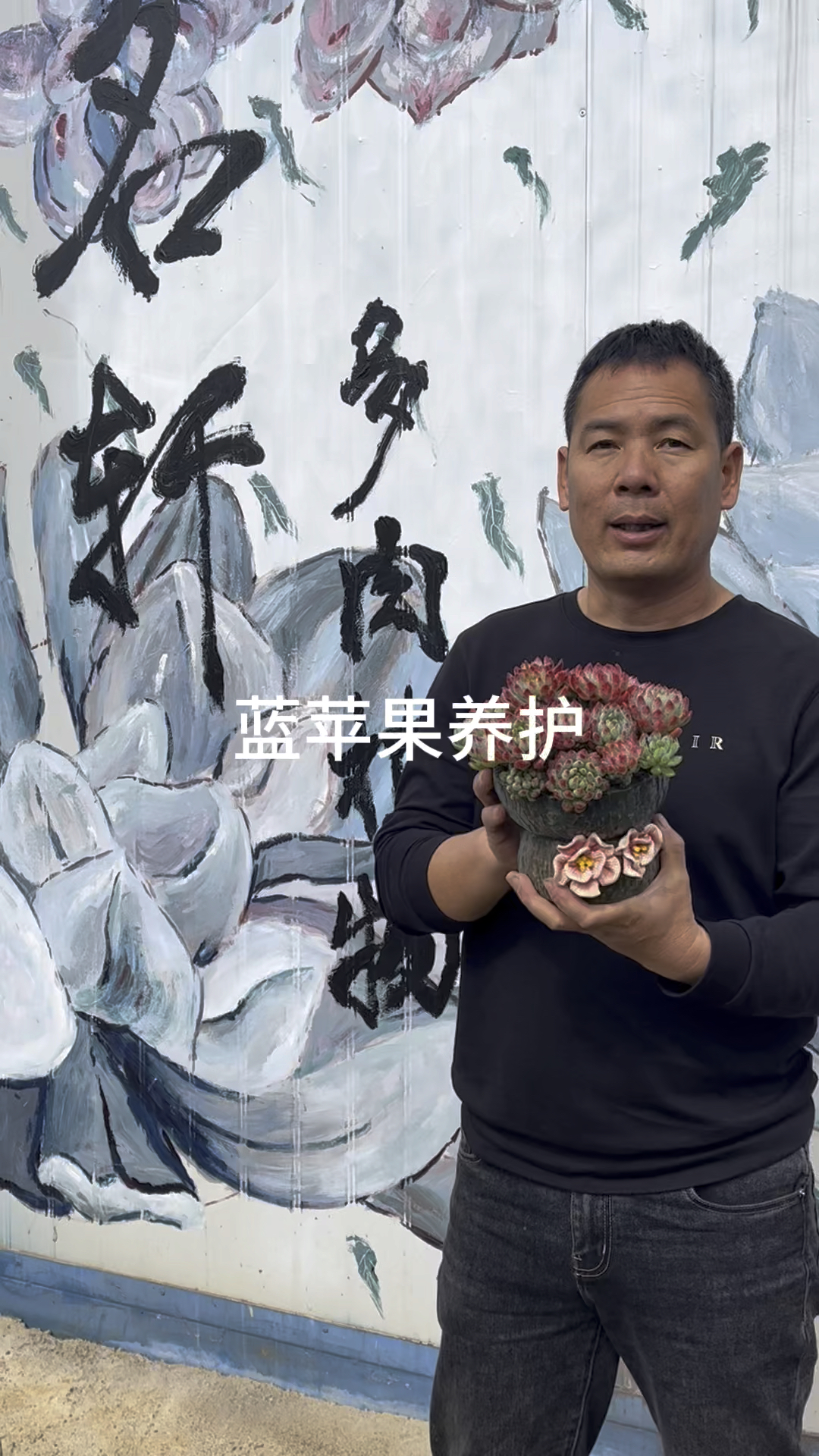 多肉植物蓝苹果养护