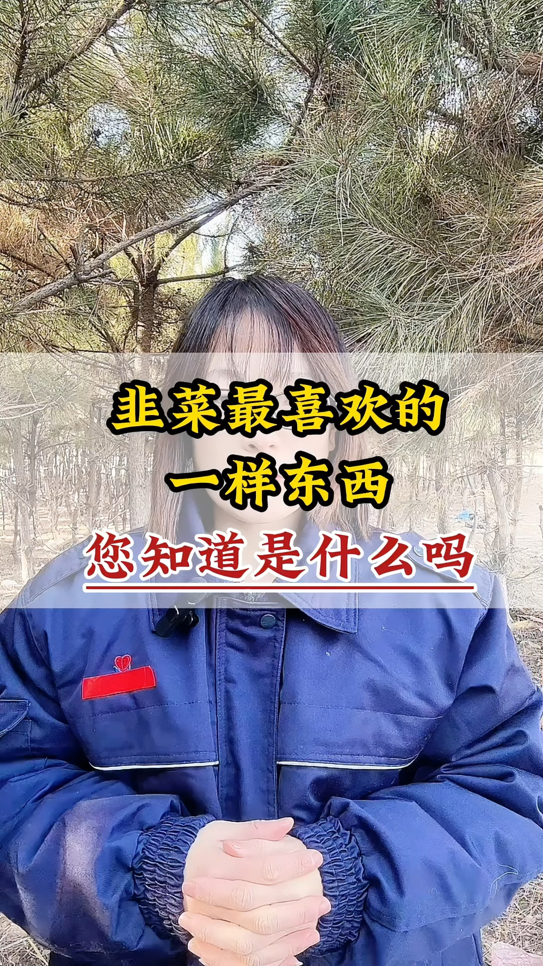 韭菜最喜欢的一样东西您知道是什么吗#三农