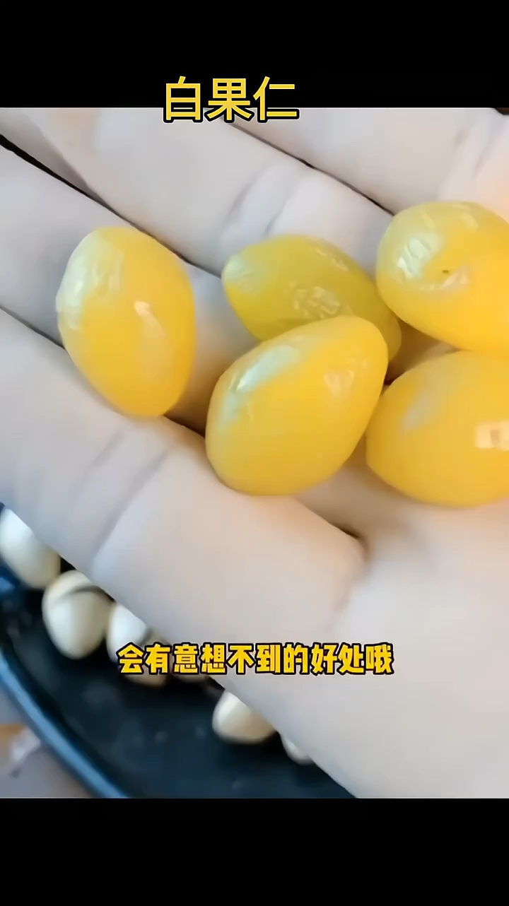 白果又叫银杏果,你吃过吗?