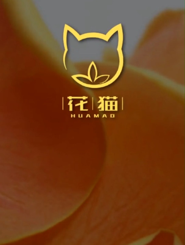 如何让LOGO变得高级大牌,既简约又大气,顾客看完超满意!