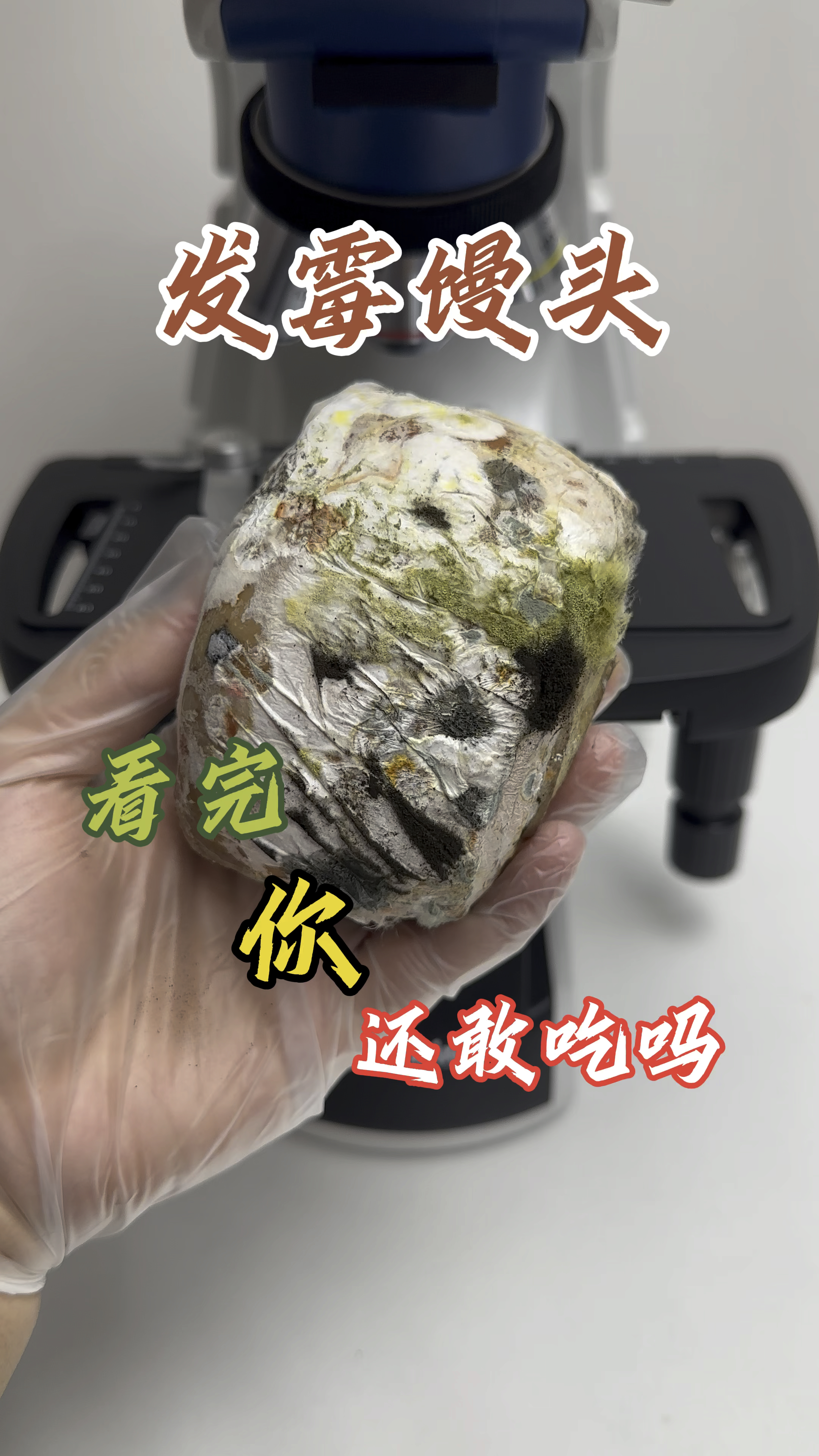 发霉的馒头,看完你还敢吃吗?