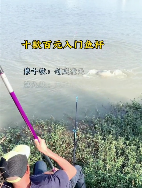 百元预算入门鱼竿,究竟哪一种更好用?老钓友列举这10种!