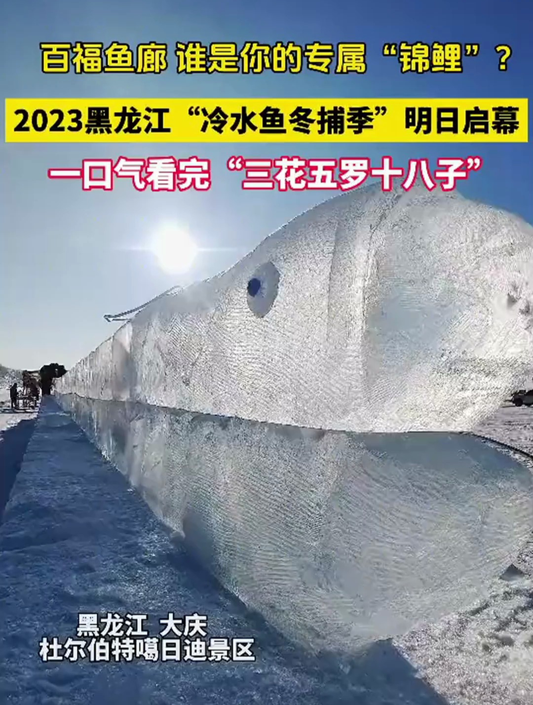 2023黑龙江,冷水鱼捕季,三花五罗18子