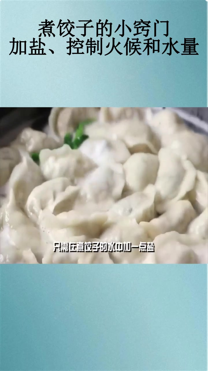 煮饺子的小窍门:加盐、控制火候和水量