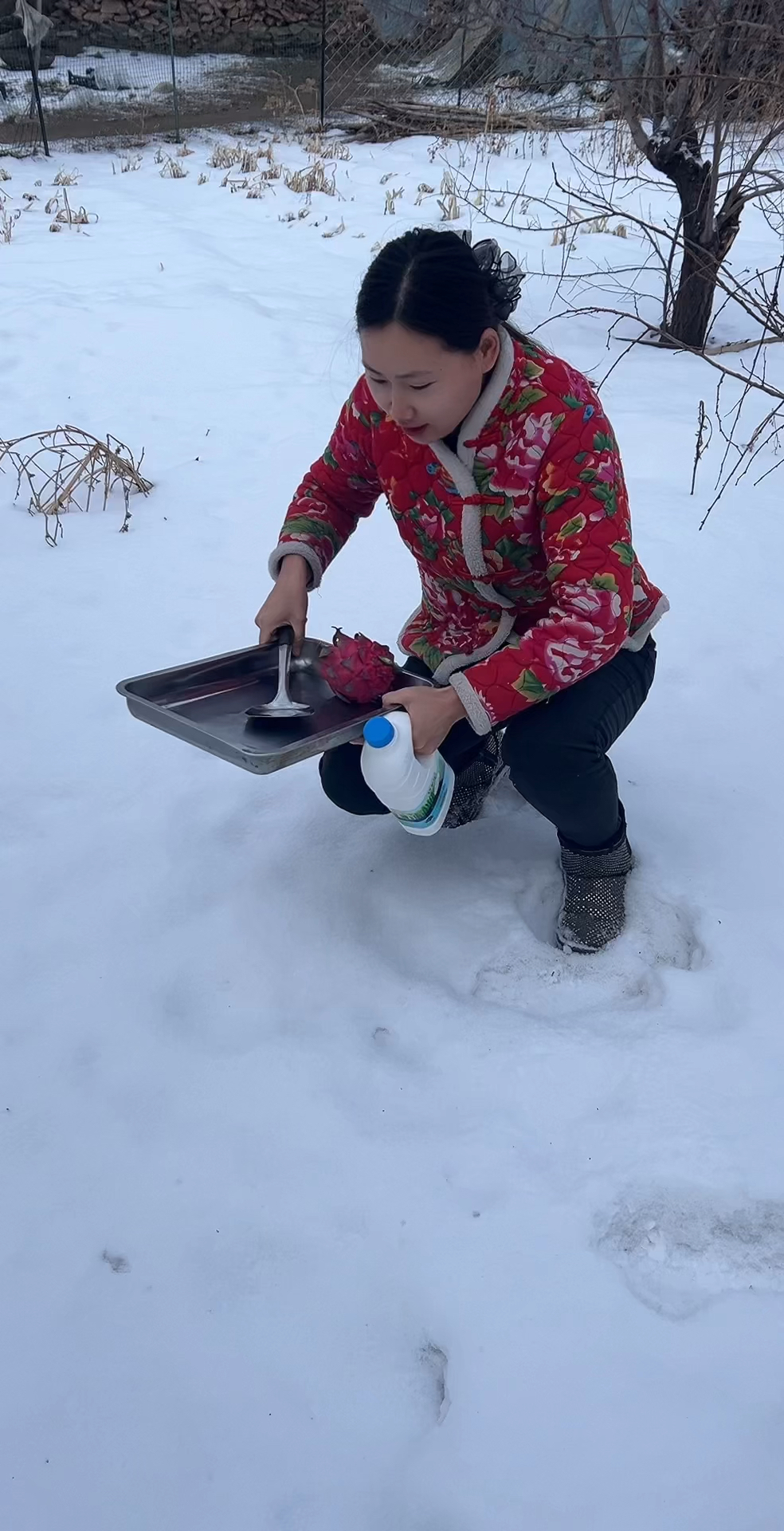 雪地炒酸奶,