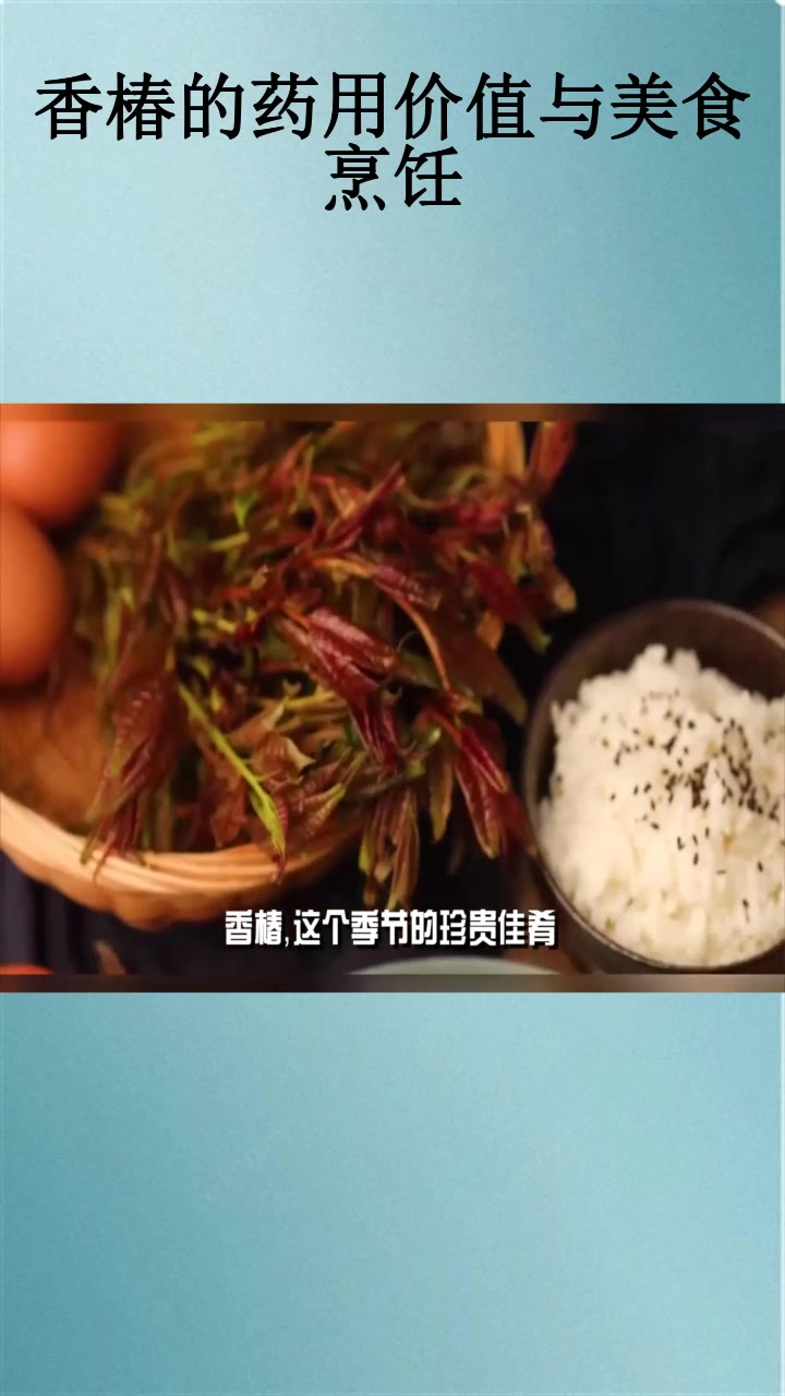 香椿的药用价值与美食烹饪