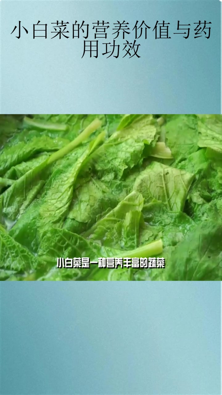 小白菜的营养价值与药用功效
