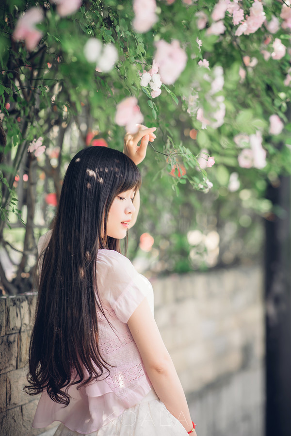 图片[15]-Blooming rose-六色网