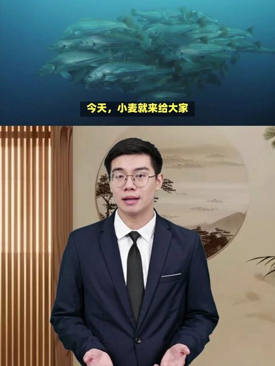 长江禁渔效果多明显?米级鳡鱼多到把水面染黑?当地人:60年一遇!