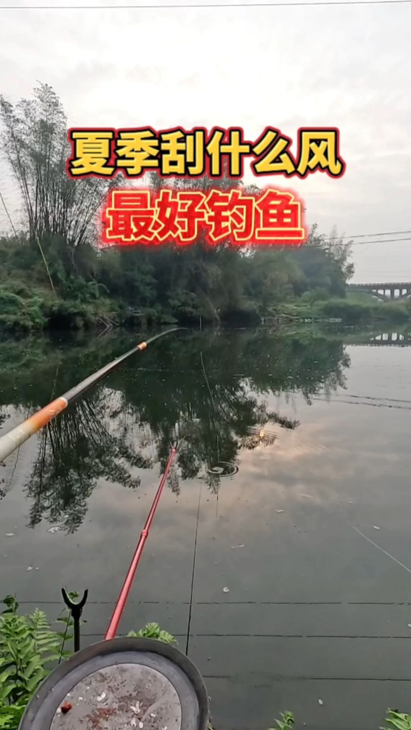 夏季刮什么风好钓鱼?