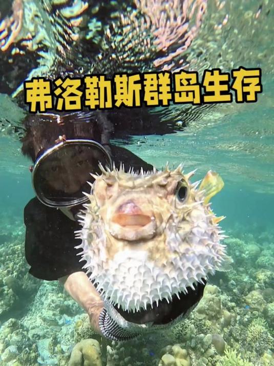 制作蒸馏海水装置后开始潜水钓鱼，本以为能轻松收获很多大鱼