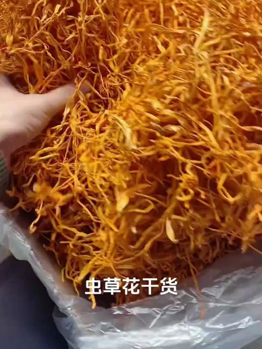 金虫草菌菇煲鸡汤,家常汤品超美味