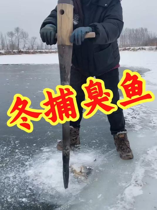 冬捕臭鱼