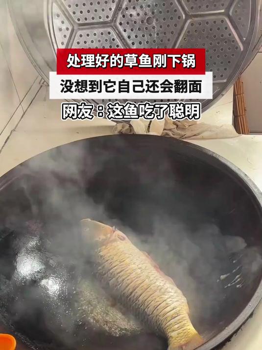 处理好的草鱼刚下锅,没想到它自己还会翻面