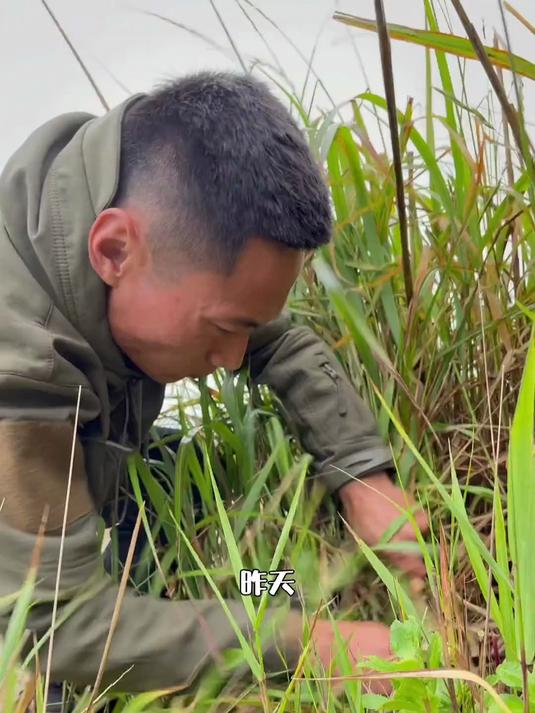 通过诱钓结合收获丰盛的晚餐#立春记录小美好#