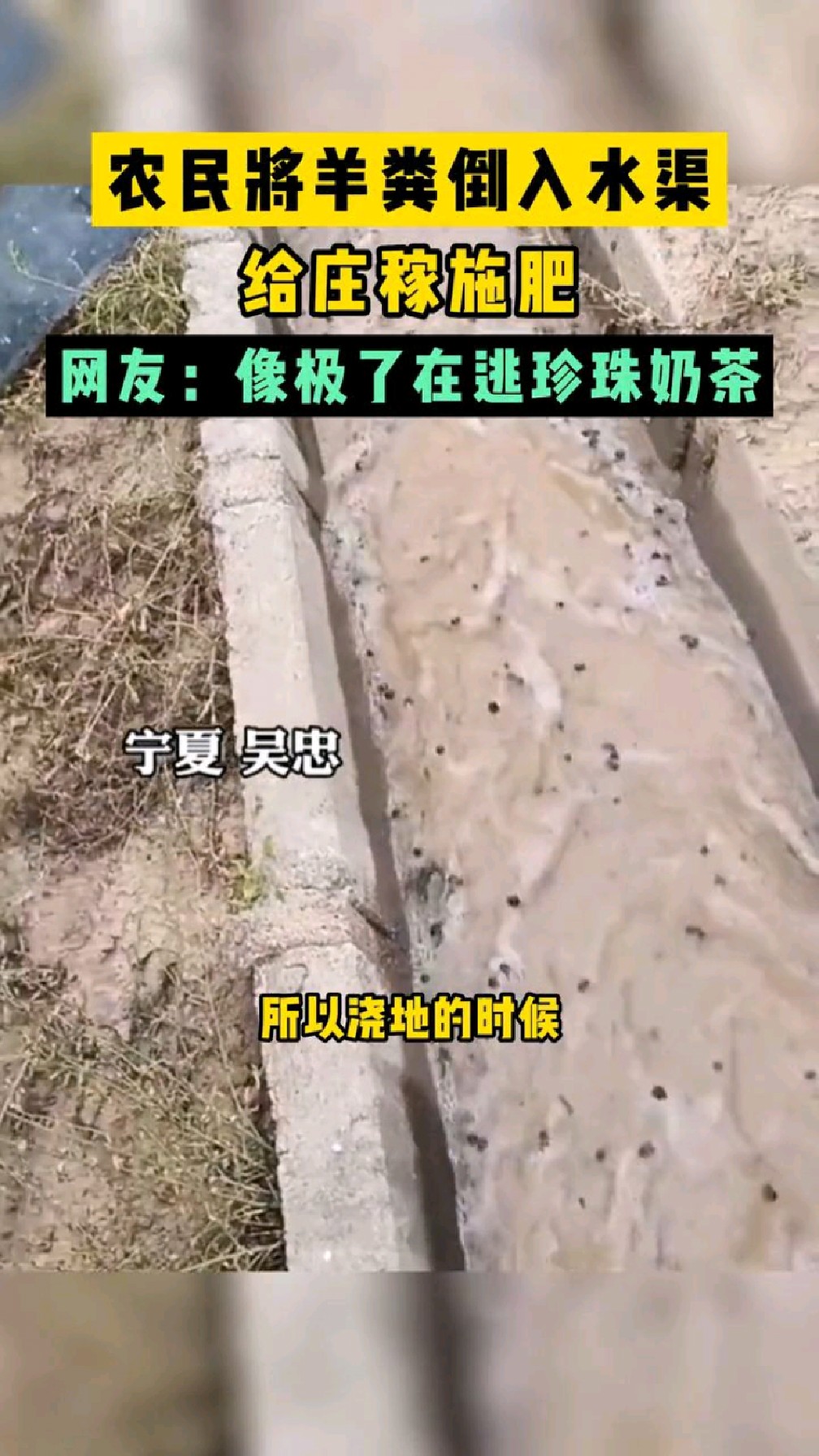 农民将羊粪倒入水渠给庄稼施肥,网友:再也不能正视珍珠奶茶。