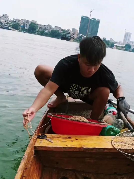荷花鲤鲤鱼