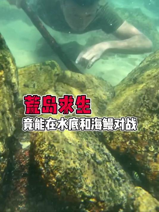 潜入海底与海鳗大战几个回合,看我怎么把它抓上来!