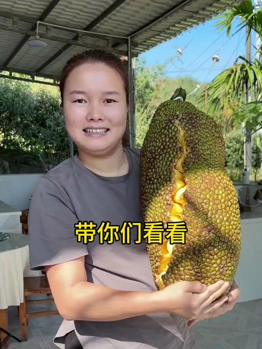 终于吃到自己养的水果鱼了,有12斤重难怪我一直钓不到