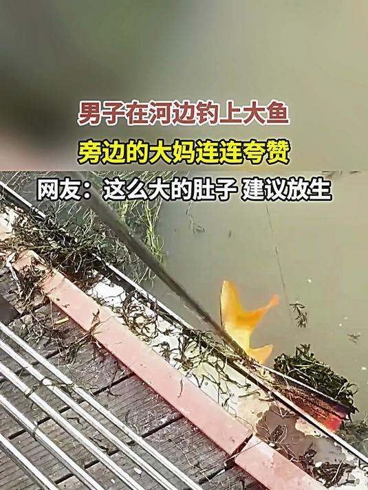 男子在河边钓上大鱼,旁边的大妈连连夸赞