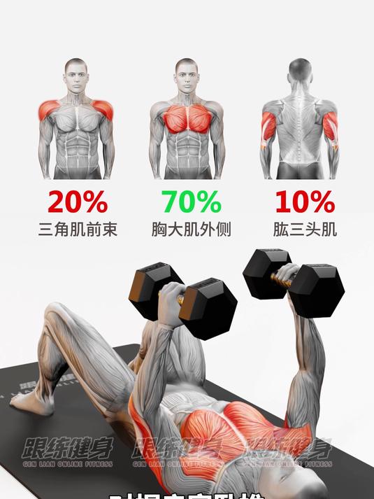 #新大陆计划#一个视频告诉你,这些哑铃动作都分别练了上身哪些肌肉?