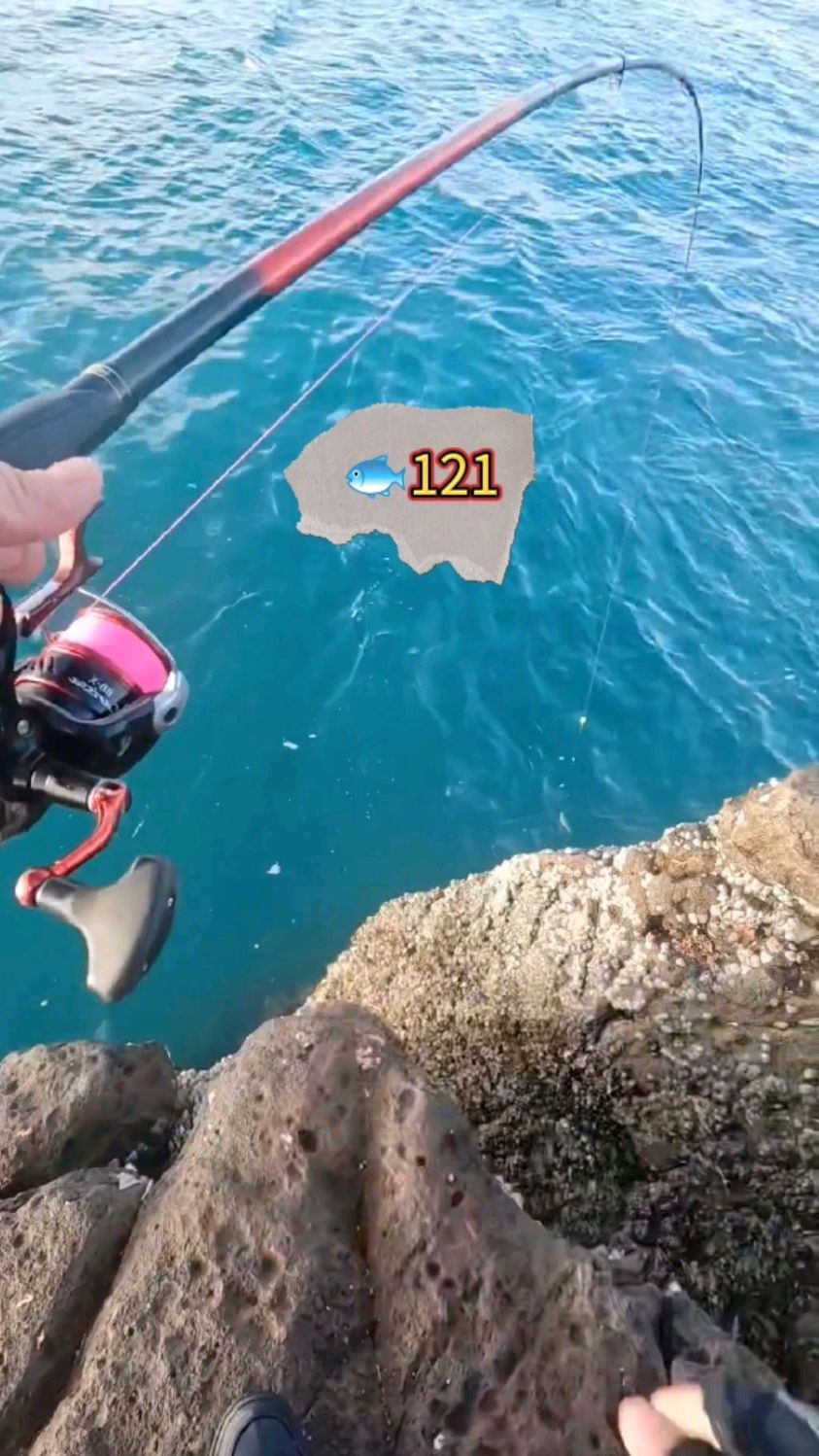 钓鱼人121!抽脚底板的大泥芒鱼!最有力了