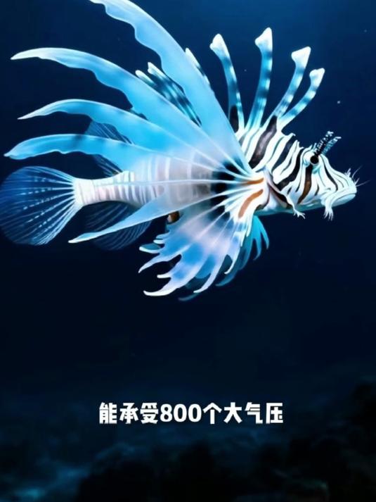 狮子鱼高压适应，8000米深海游刃有余！