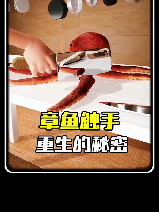 章鱼触手重生的秘密