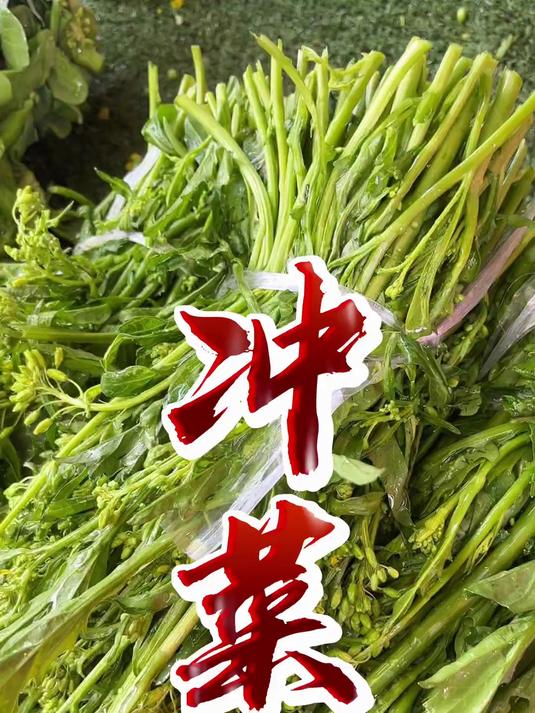 冲（chòng）菜，又叫苦菜尖，芥末味的青菜！