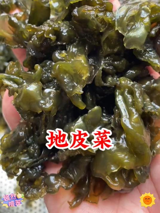 大自然的馈赠_地皮菜又叫地木耳雷公菌