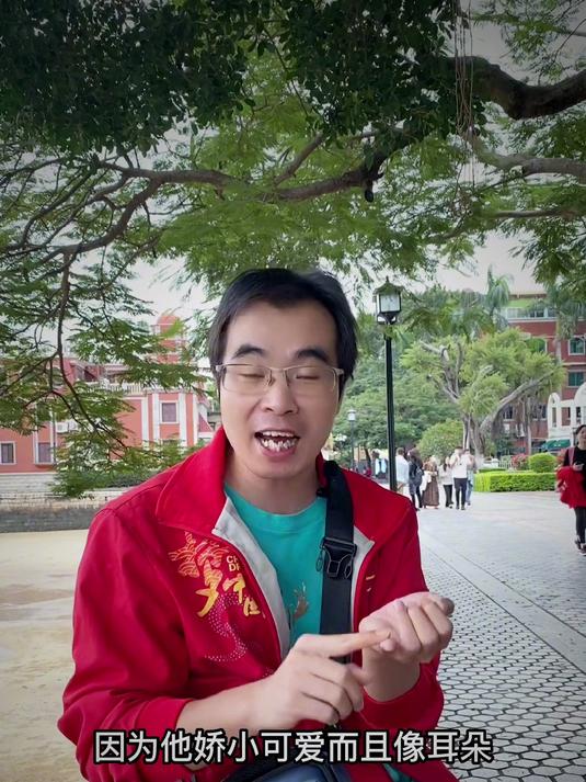 扁食和饺子 是不是一样东西?