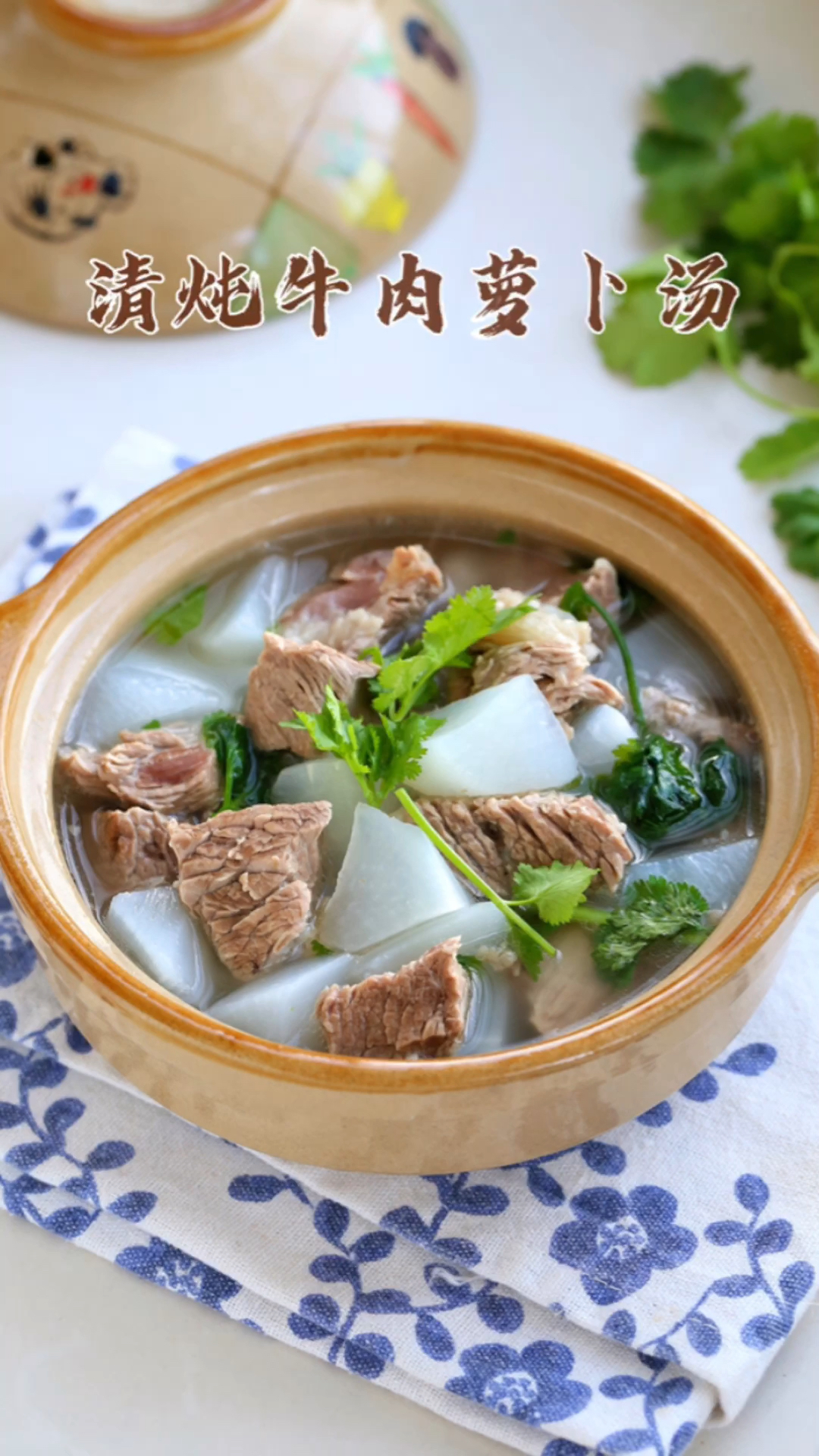 原汁原味营养丰富,冬季经常煲给家人喝,清炖牛肉萝卜汤!