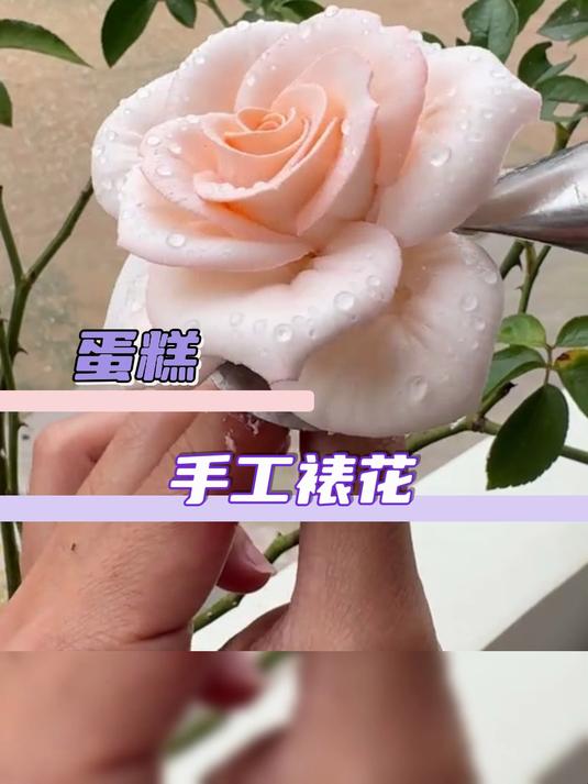 在插件蛋糕的赛道上还有一批老艺术家在手搓