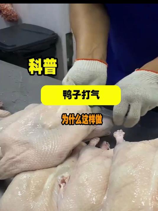 为什么工人拿着打气筒，就给鸭子打气，真是太有趣了