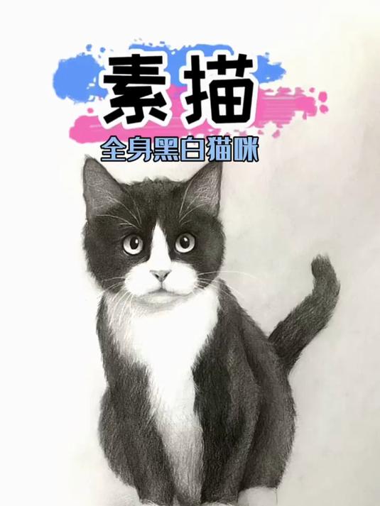 全身的黑白猫咪画法来了 素描 一起学画画 零基础教学