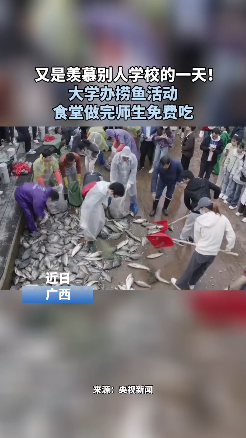 又是羡慕别人学校的一天! 大学办捞鱼活动 食堂做完师生免费吃